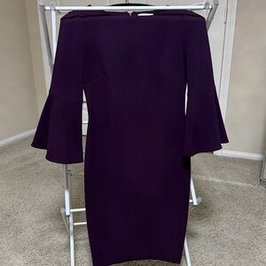 Calvin Klein Deep Purple Long Sleeve Dress